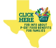 Pandemic Electronic Benefit Transfer Information